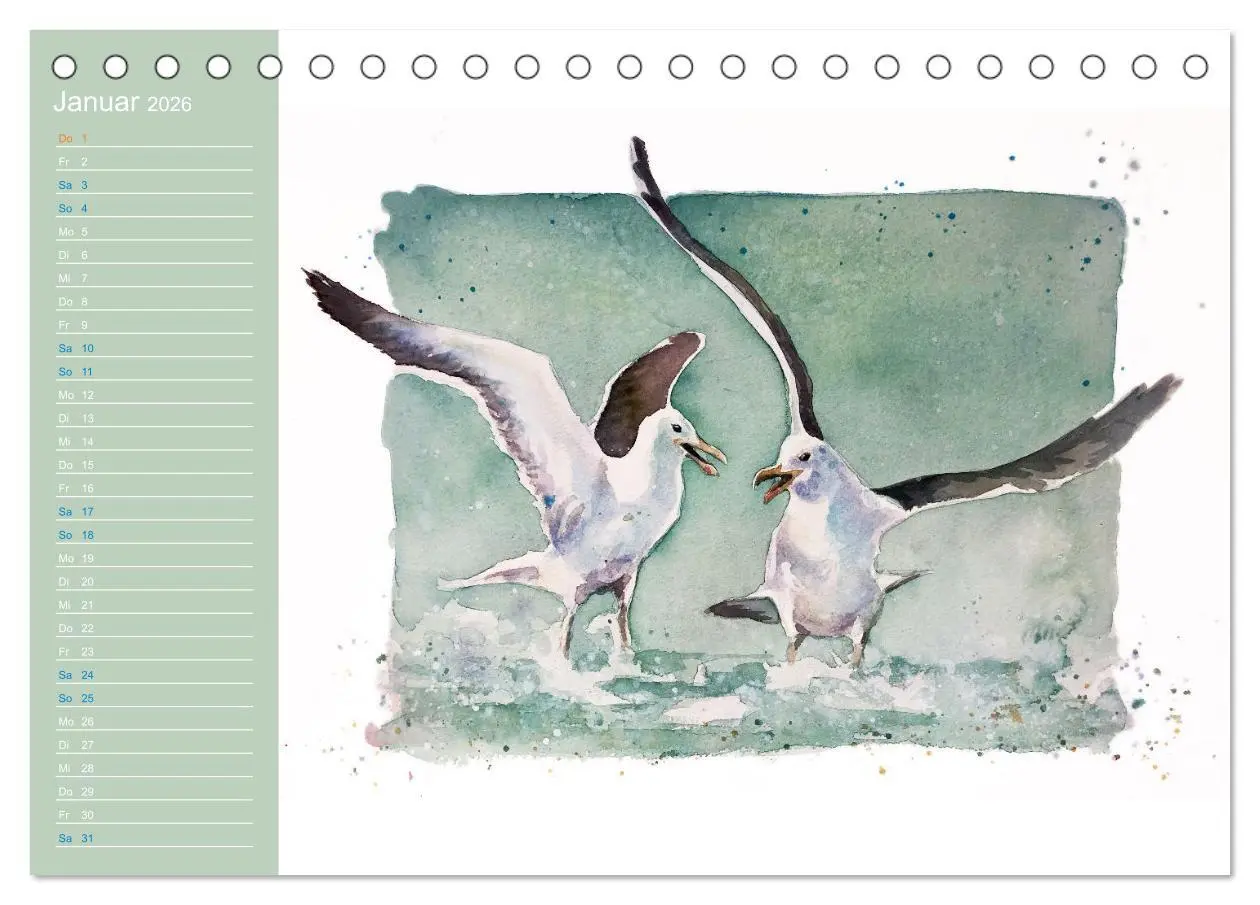 Bild: 9783457413555 | Möwen - Aquarelle von Julia Pasinski (Tischkalender 2026 DIN A5...