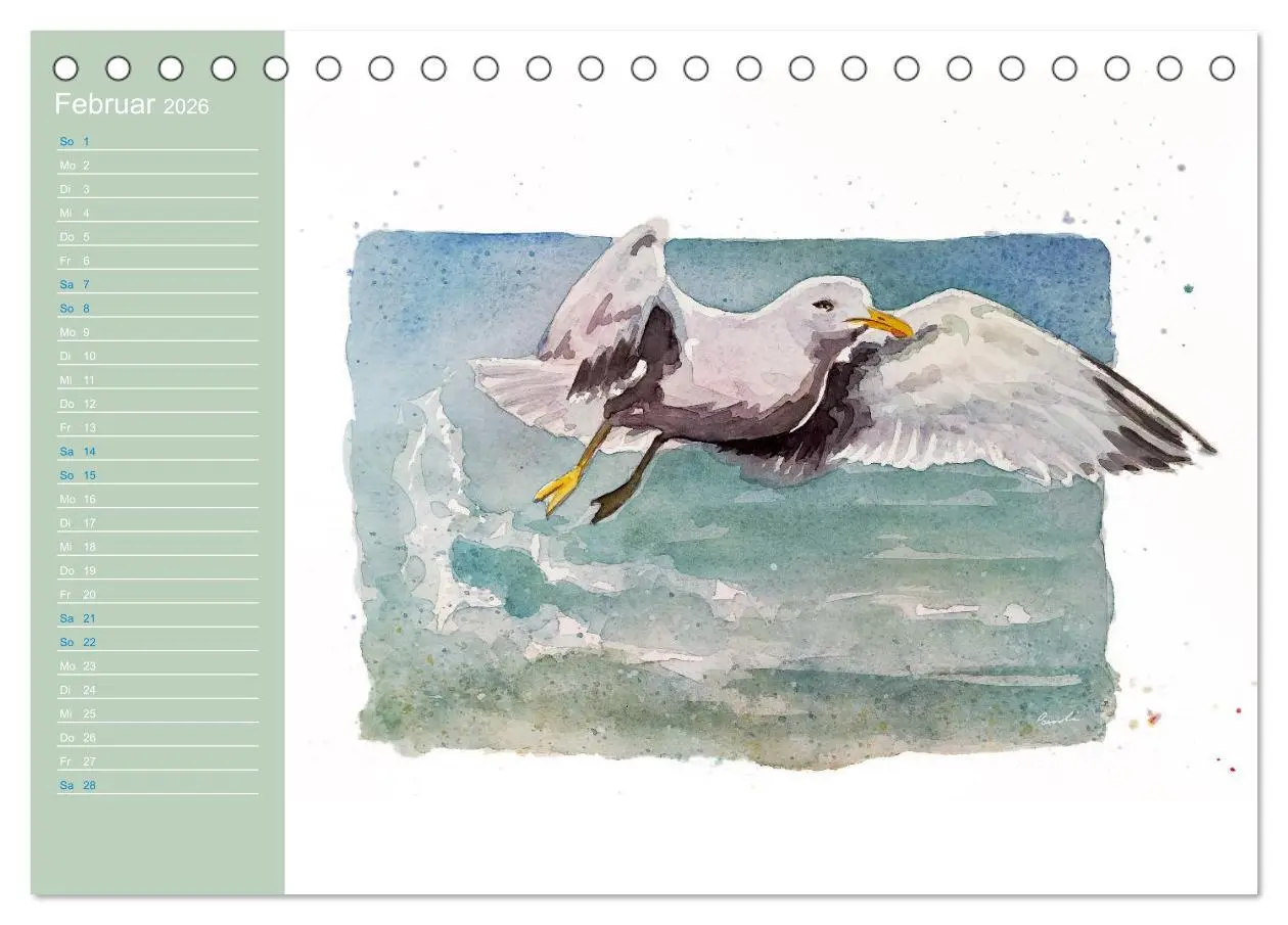 Bild: 9783457413555 | Möwen - Aquarelle von Julia Pasinski (Tischkalender 2026 DIN A5...