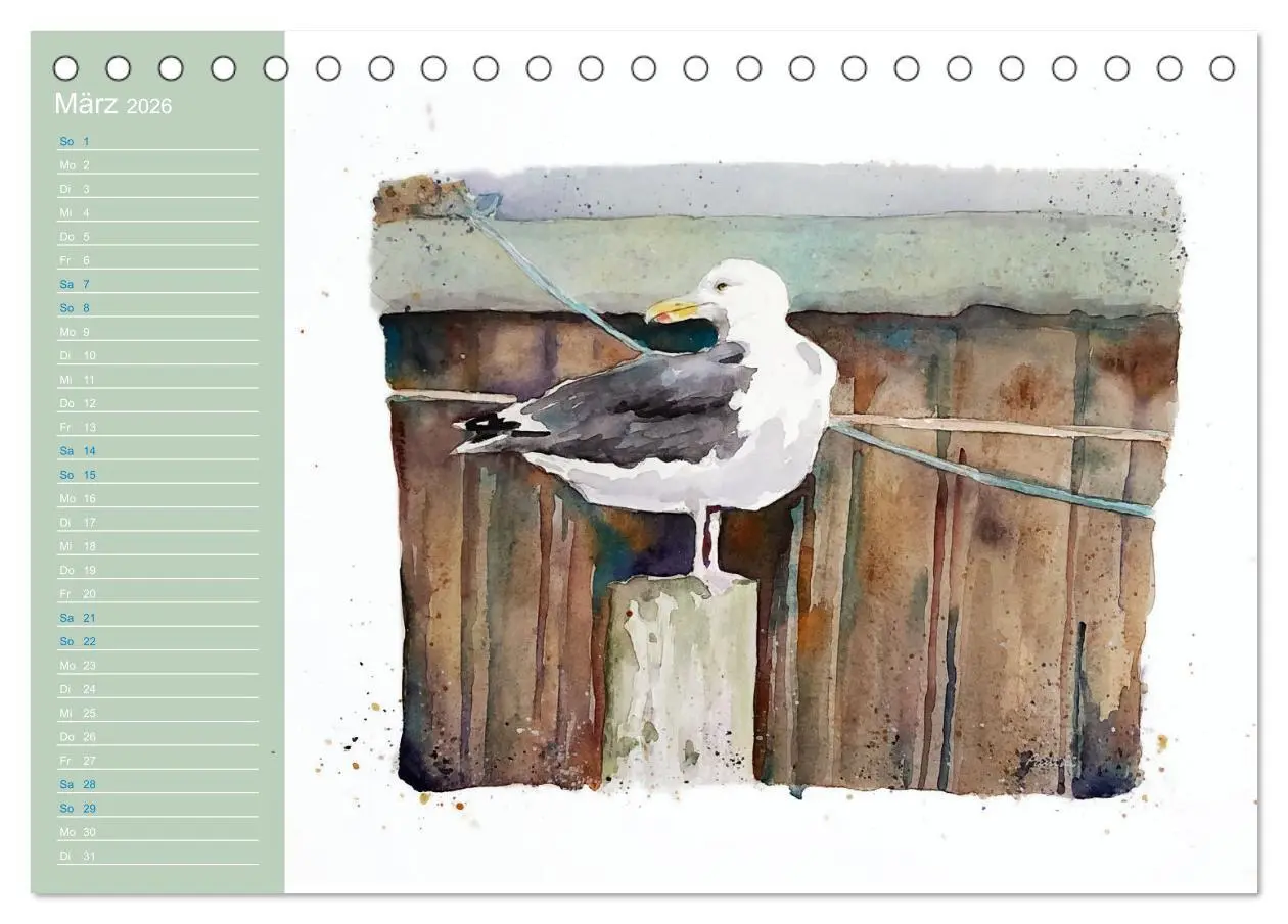 Bild: 9783457413555 | Möwen - Aquarelle von Julia Pasinski (Tischkalender 2026 DIN A5...