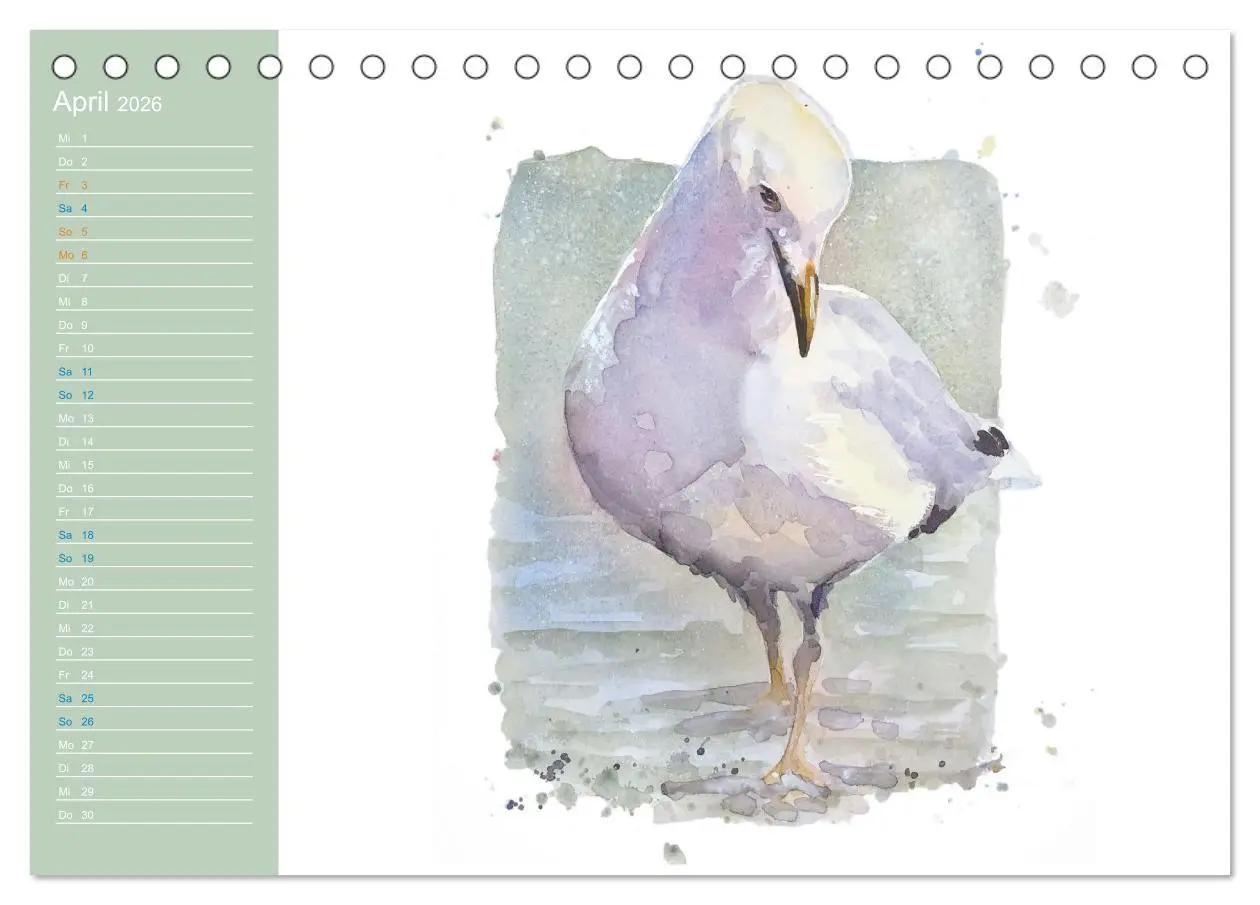 Bild: 9783457413555 | Möwen - Aquarelle von Julia Pasinski (Tischkalender 2026 DIN A5...
