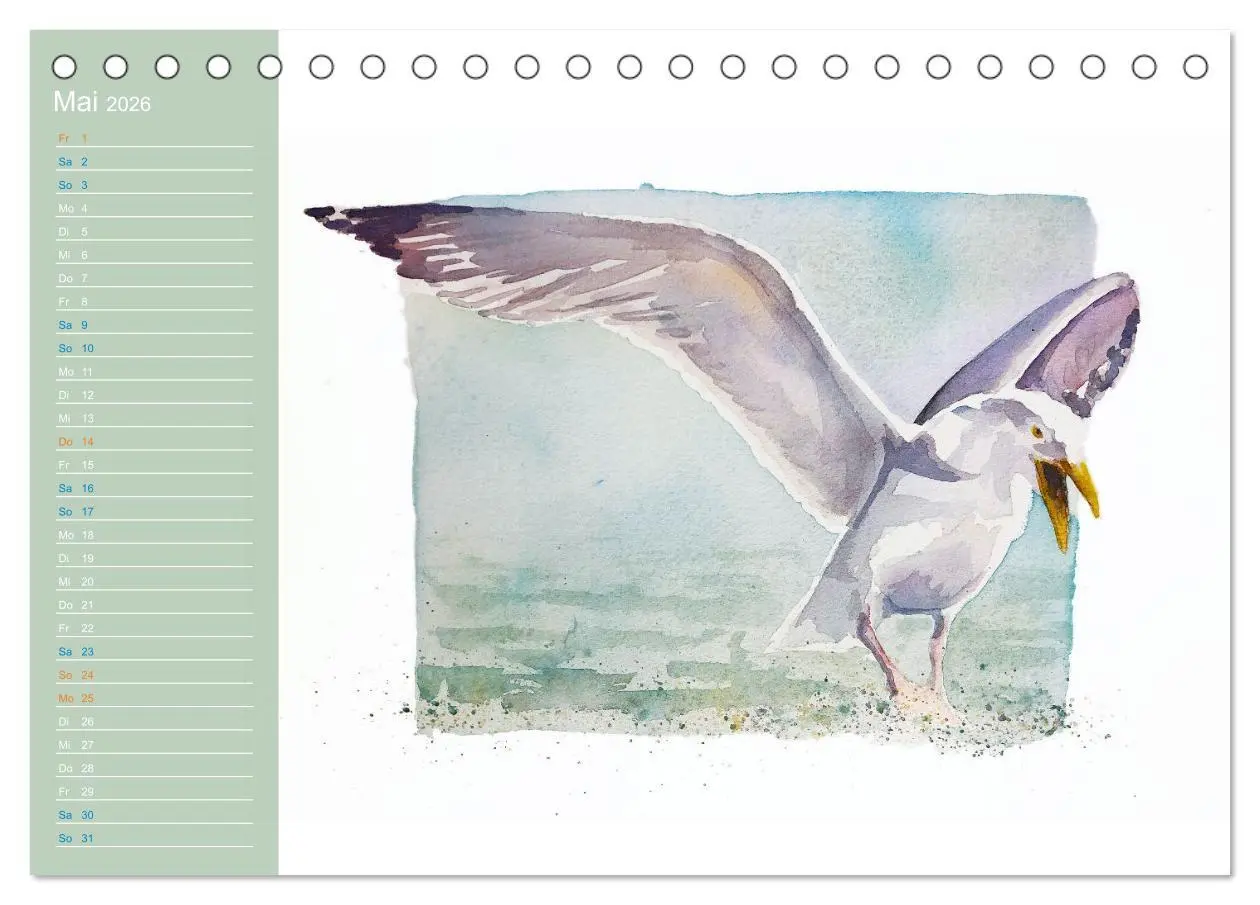 Bild: 9783457413555 | Möwen - Aquarelle von Julia Pasinski (Tischkalender 2026 DIN A5...