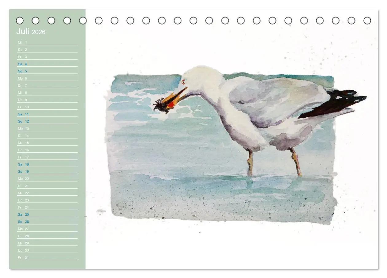 Bild: 9783457413555 | Möwen - Aquarelle von Julia Pasinski (Tischkalender 2026 DIN A5...