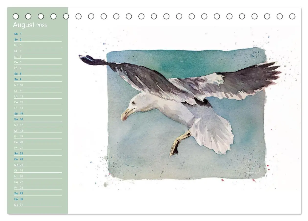 Bild: 9783457413555 | Möwen - Aquarelle von Julia Pasinski (Tischkalender 2026 DIN A5...