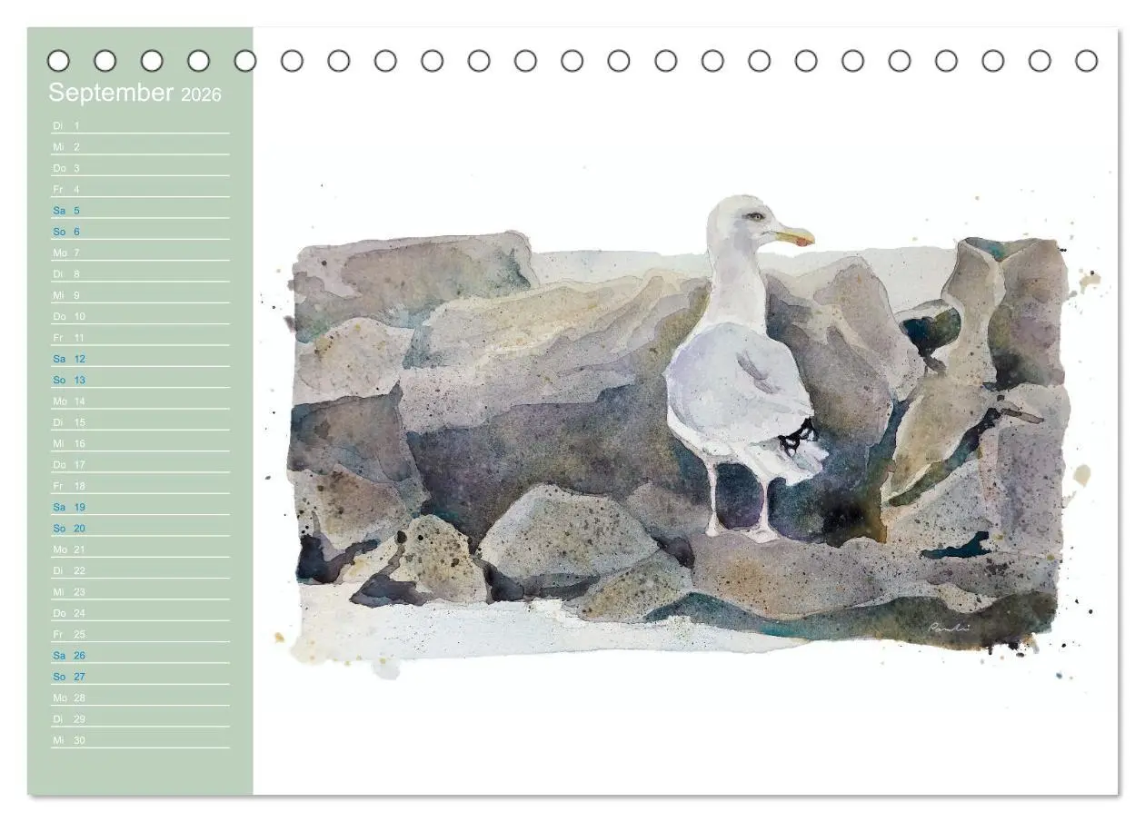 Bild: 9783457413555 | Möwen - Aquarelle von Julia Pasinski (Tischkalender 2026 DIN A5...