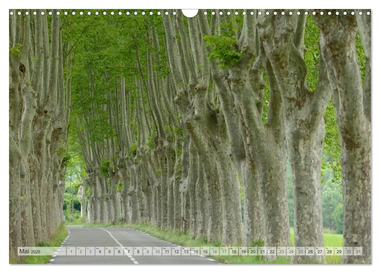Bild: 9783516123555 | Provence von Christian Heeb (Wandkalender 2026 DIN A3 quer),...