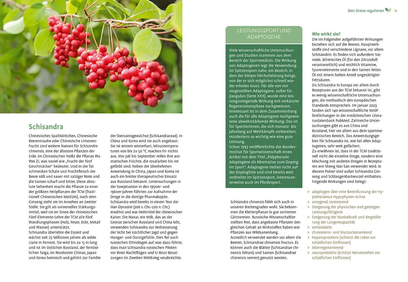 Bild: 9783818623555 | Mit Naturheilkunde Stress bewältigen | Michaela Girsch | Taschenbuch