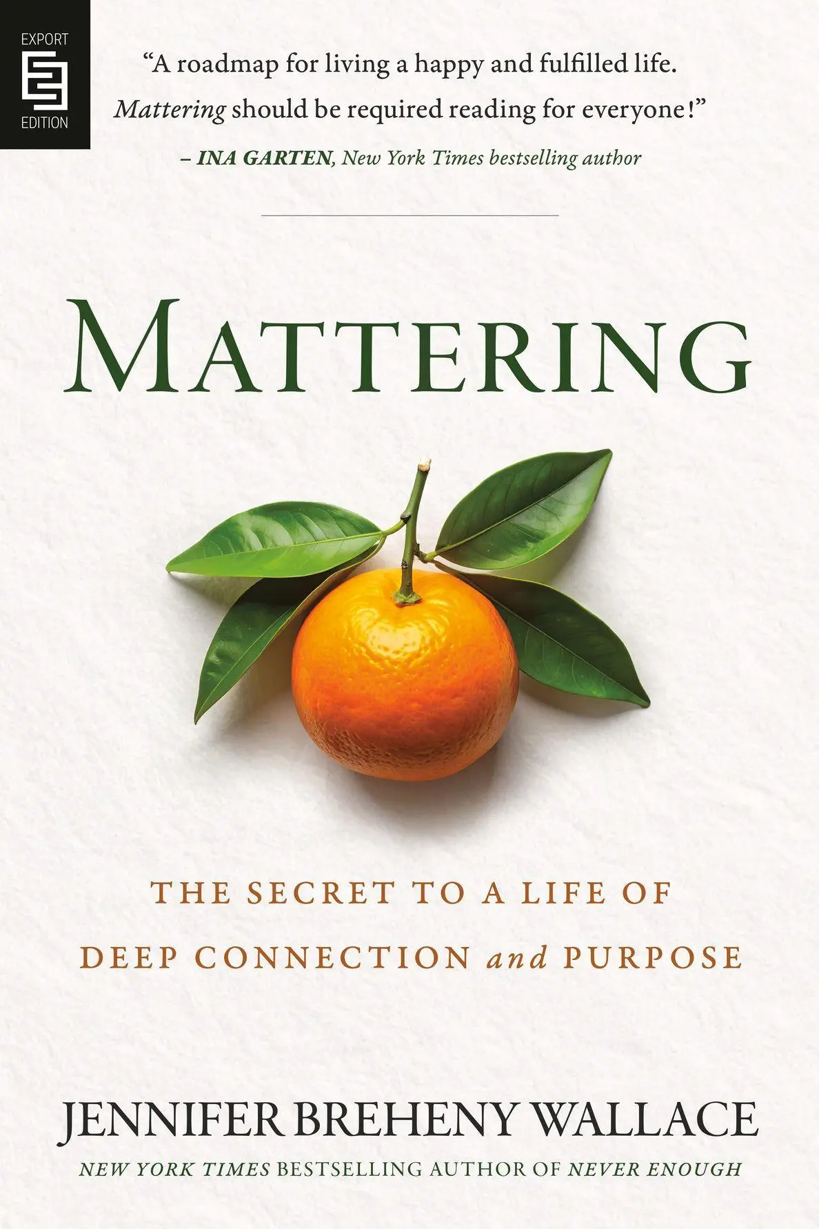 Cover: 9798217183555 | Mattering | The Secret to a Life of Deep Connection and Purpose | Buch