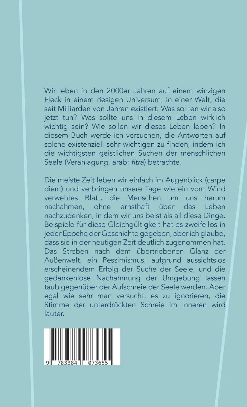 Rückseite: 9783384073655 | Die sieben Aufschreie der Seele | Wie sollten wir dieses Leben leben?