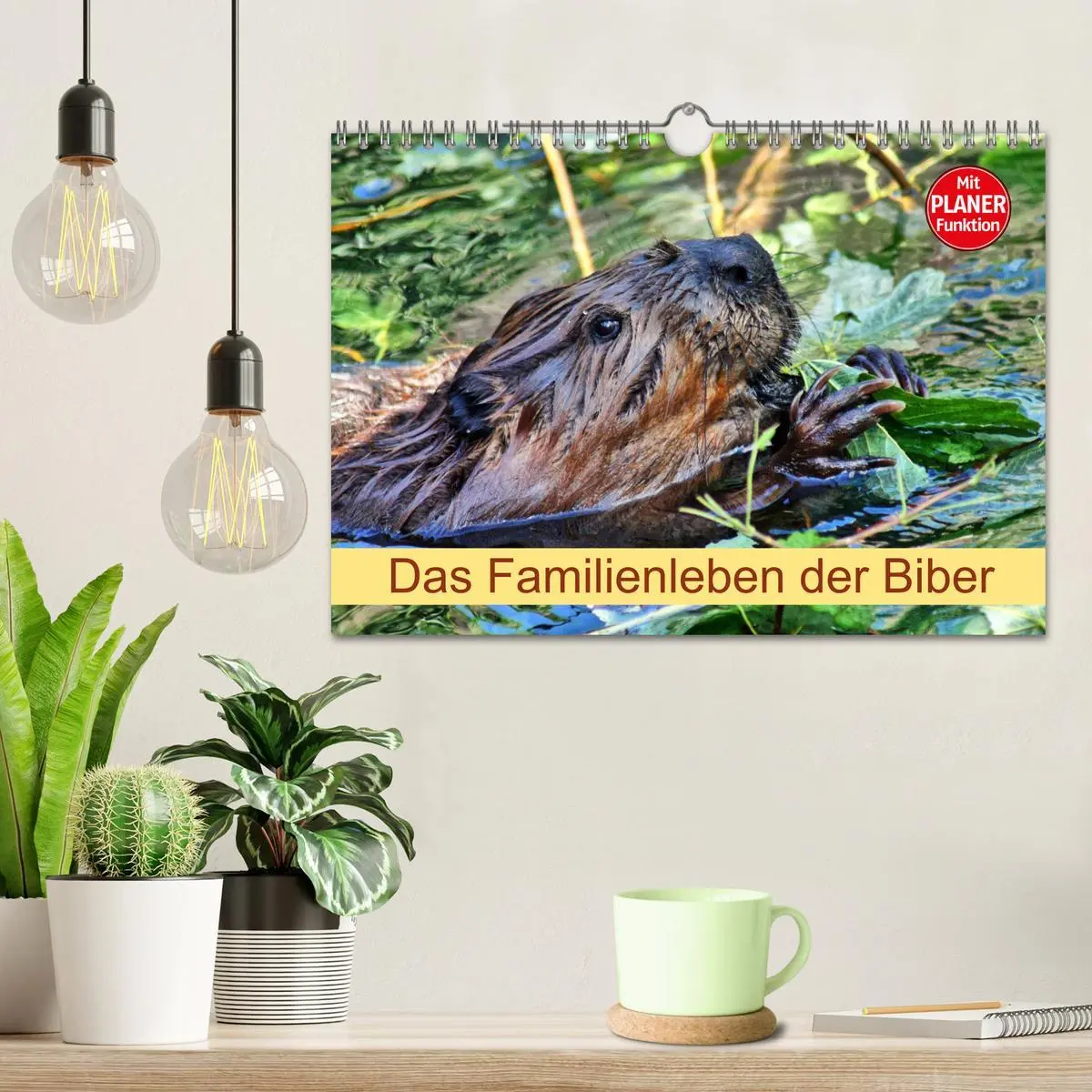 Bild: 9783457883655 | Das Familienleben der Biber (Wandkalender 2026 DIN A4 quer),...