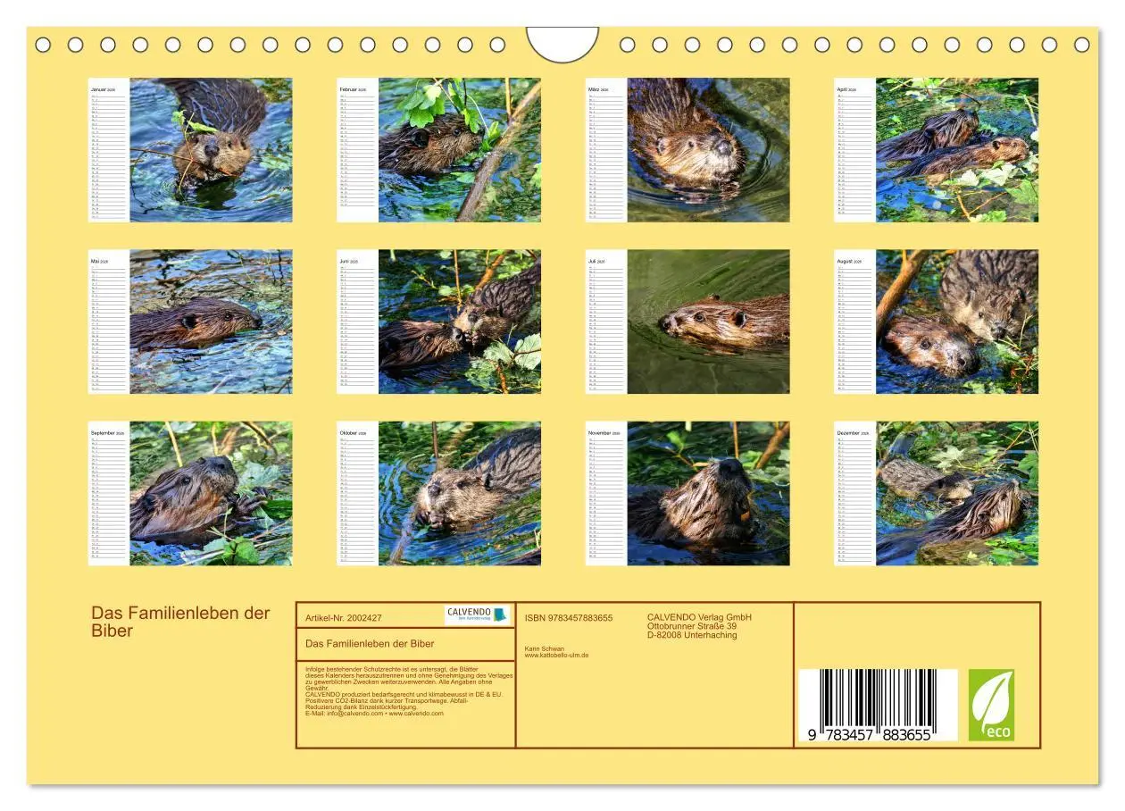 Bild: 9783457883655 | Das Familienleben der Biber (Wandkalender 2026 DIN A4 quer),...