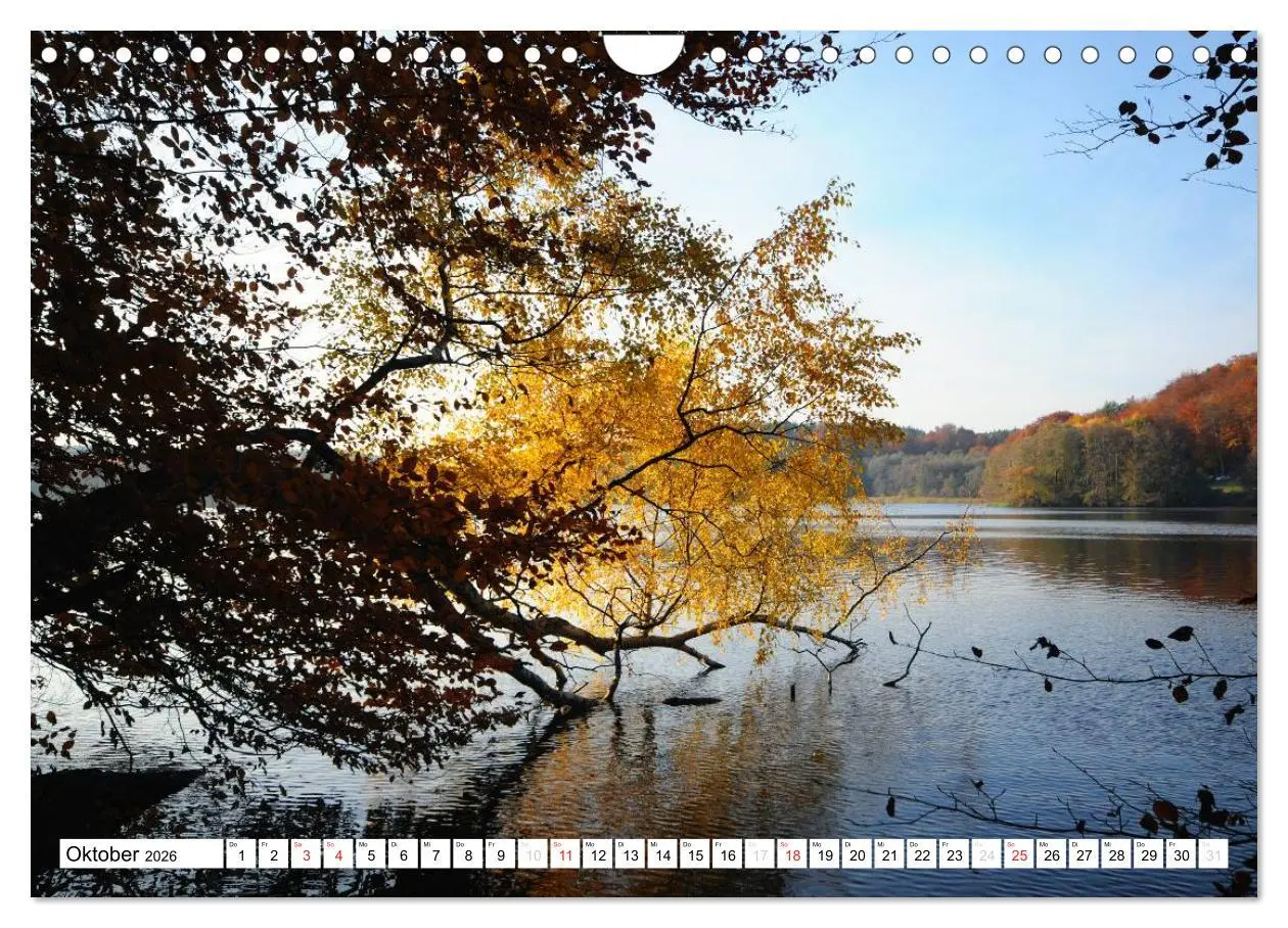Bild: 9783457953655 | Vier Jahreszeiten im Land Brandenburg (Wandkalender 2026 DIN A4...