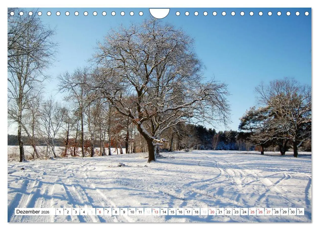Bild: 9783457953655 | Vier Jahreszeiten im Land Brandenburg (Wandkalender 2026 DIN A4...