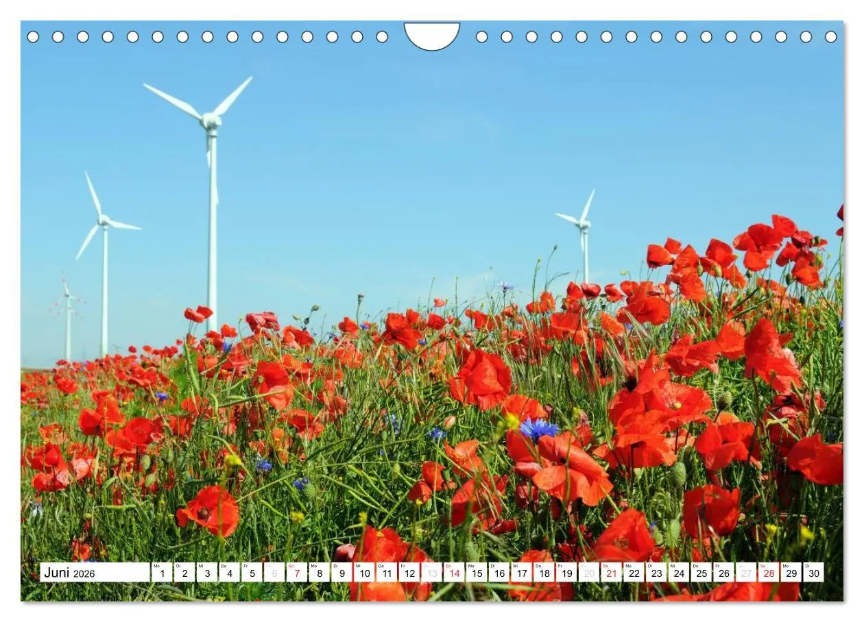 Bild: 9783457953655 | Vier Jahreszeiten im Land Brandenburg (Wandkalender 2026 DIN A4...