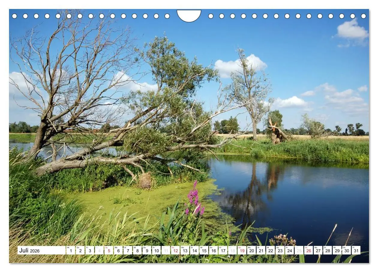 Bild: 9783457953655 | Vier Jahreszeiten im Land Brandenburg (Wandkalender 2026 DIN A4...