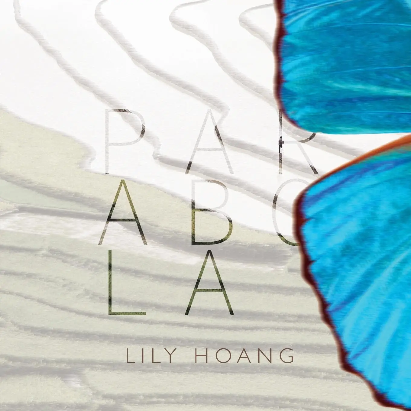 Cover: 9780998403755 | Parabola | Lily Hoang | Taschenbuch | Kartoniert / Broschiert | 2017