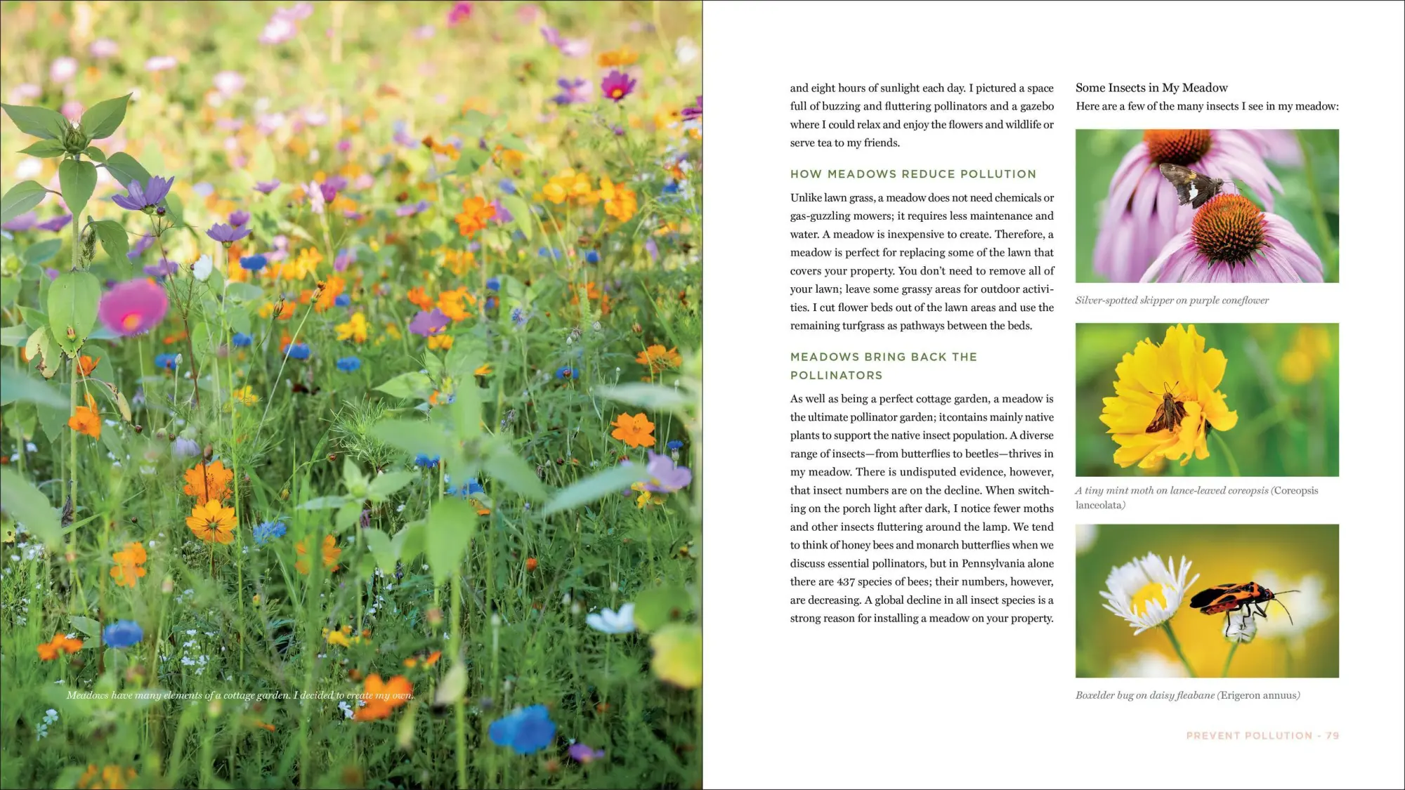Bild: 9781643263755 | The Contemporary Cottage Garden | Pamela Hubbard | Taschenbuch | 2026