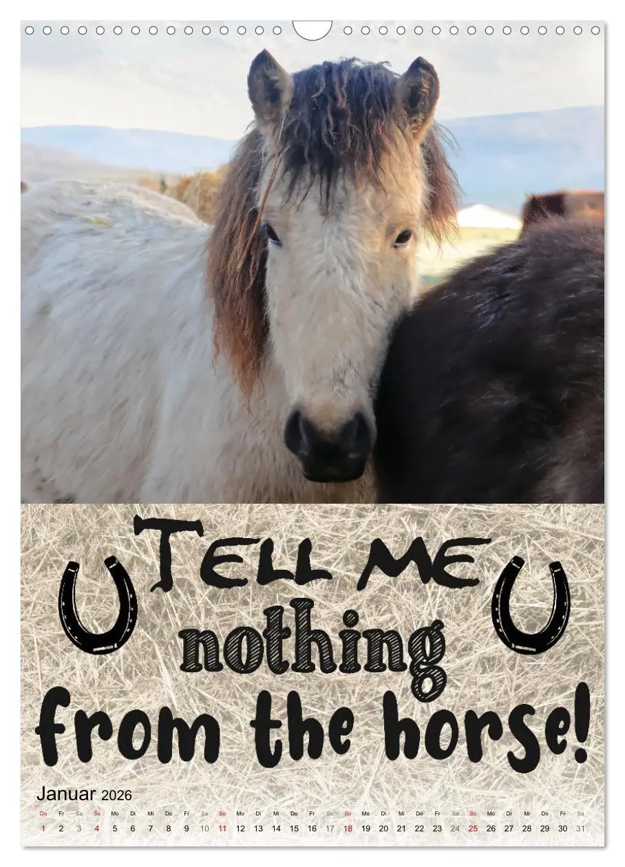 Bild: 9783516343755 | Cooles Denglisch (Wandkalender 2026 DIN A3 hoch), CALVENDO...