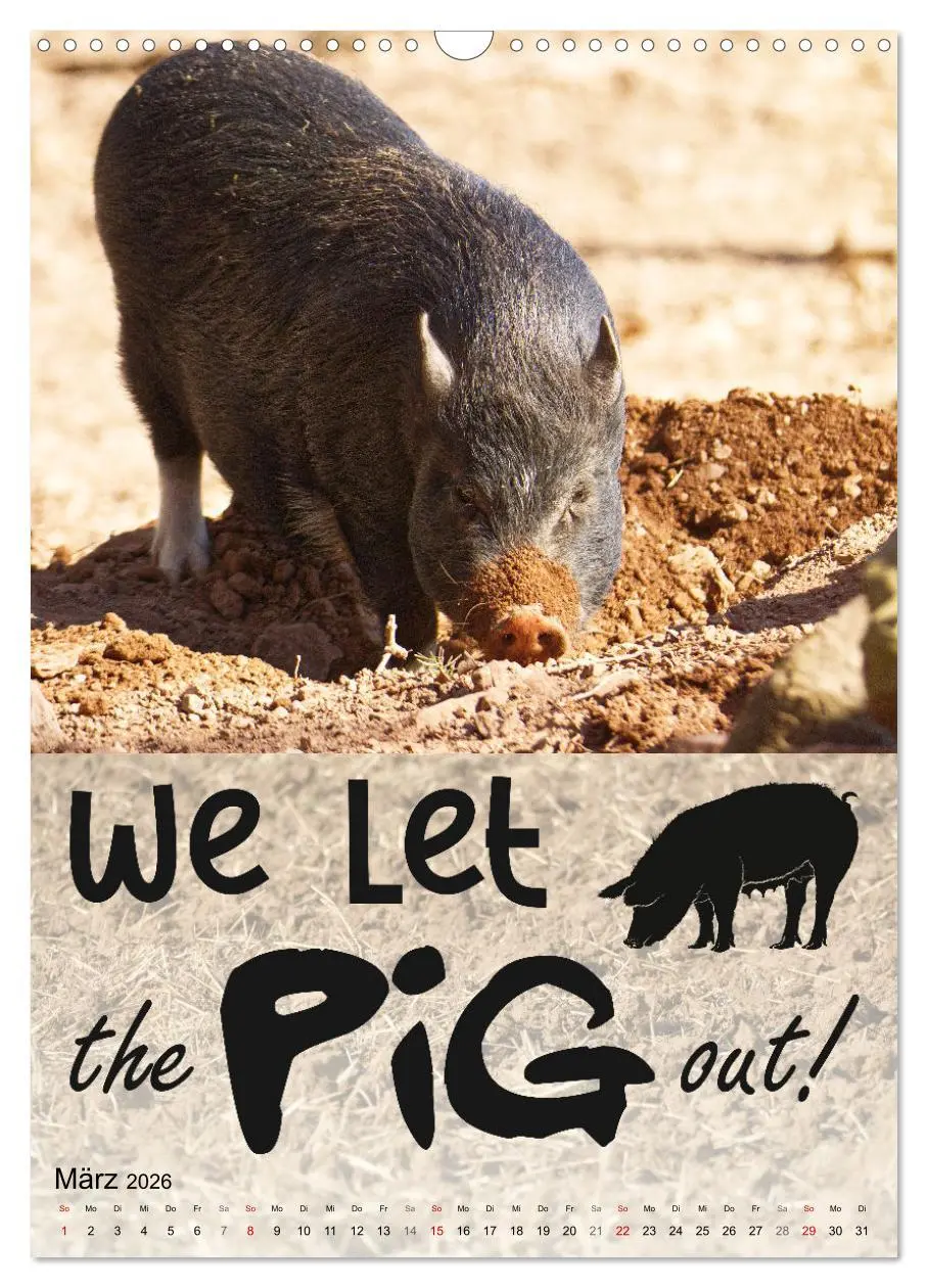 Bild: 9783516343755 | Cooles Denglisch (Wandkalender 2026 DIN A3 hoch), CALVENDO...