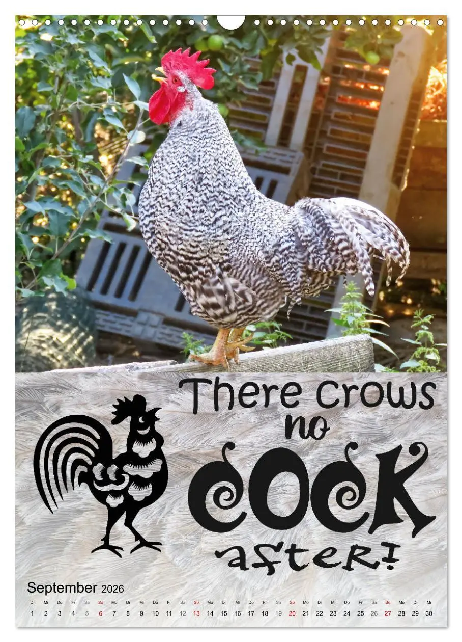 Bild: 9783516343755 | Cooles Denglisch (Wandkalender 2026 DIN A3 hoch), CALVENDO...