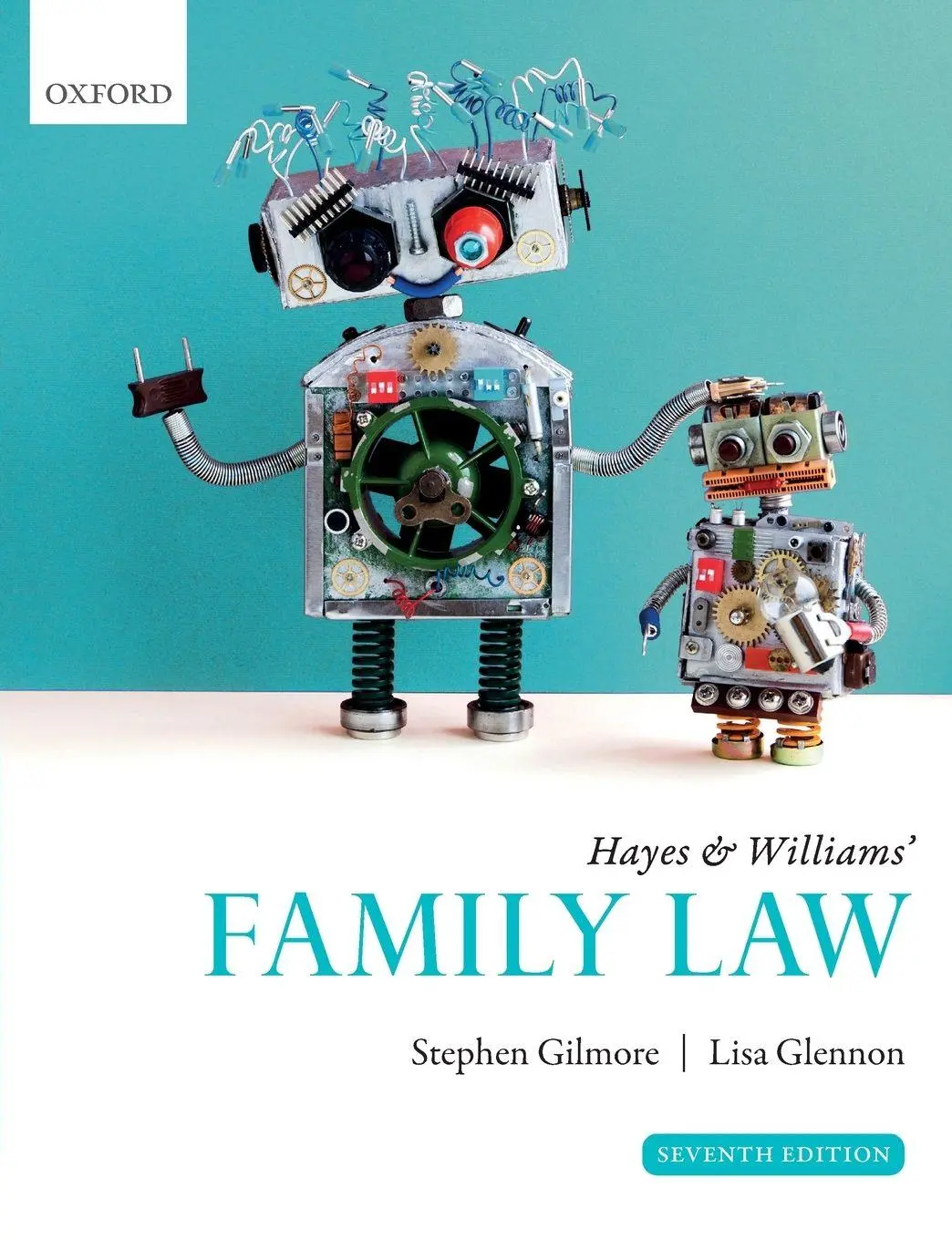Cover: 9780198853855 | HAYES &amp; WILLIAMS FAMILY LAW 7E P | Glennon Gilmore | Taschenbuch