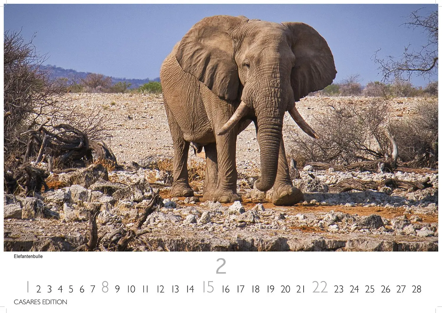 Bild: 9781835243855 | Namibia Kalender 2026 24x35 cm - Wandkalender mit atemberaubenden...