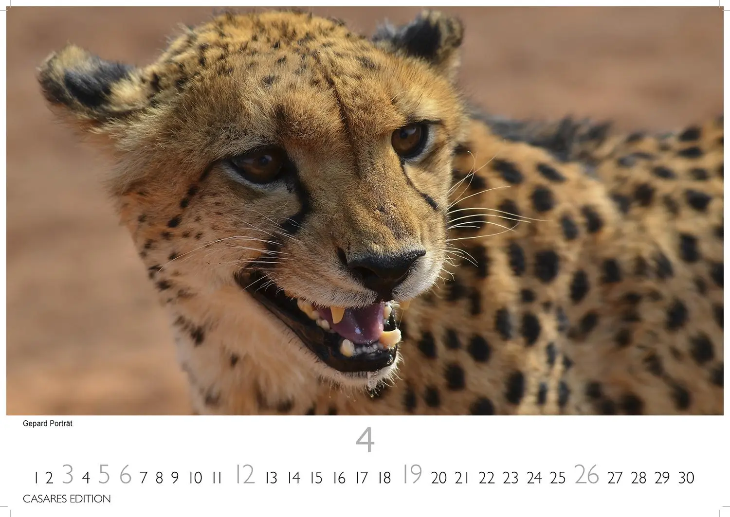 Bild: 9781835243855 | Namibia Kalender 2026 24x35 cm - Wandkalender mit atemberaubenden...