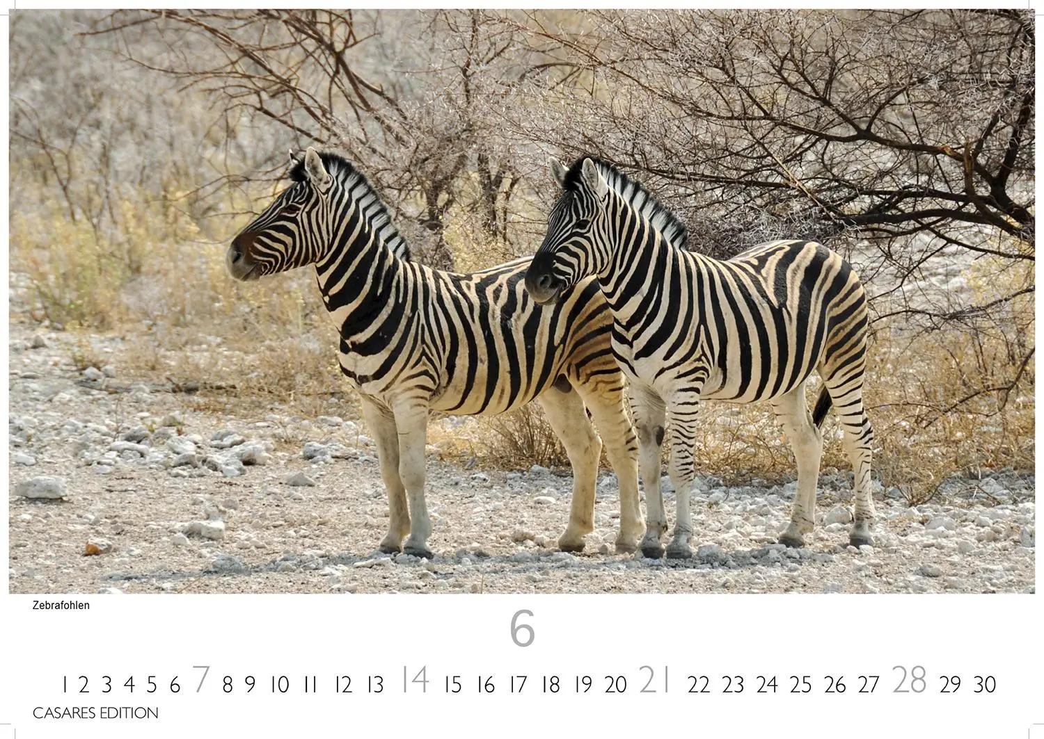 Bild: 9781835243855 | Namibia Kalender 2026 24x35 cm - Wandkalender mit atemberaubenden...