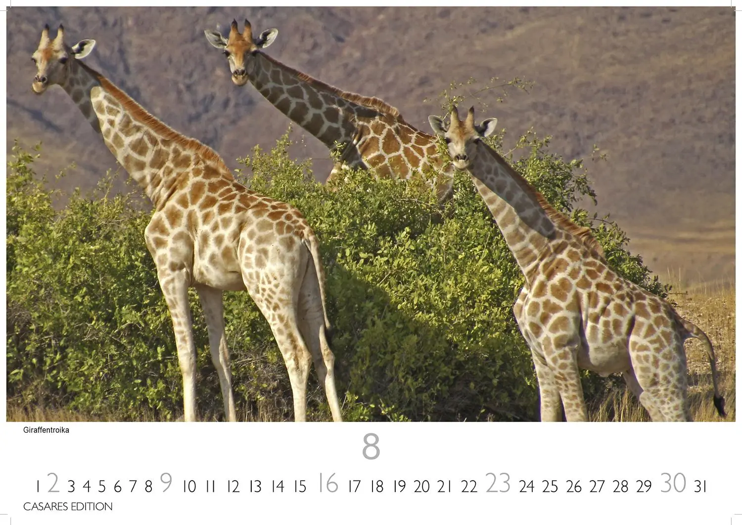 Bild: 9781835243855 | Namibia Kalender 2026 24x35 cm - Wandkalender mit atemberaubenden...