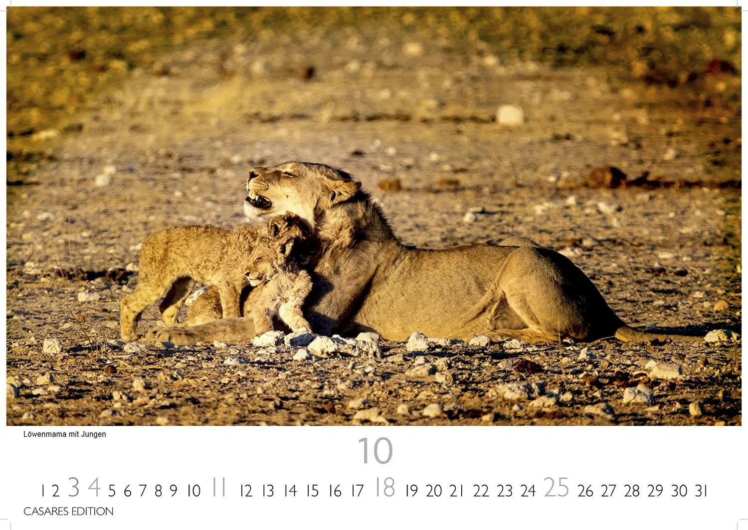 Bild: 9781835243855 | Namibia Kalender 2026 24x35 cm - Wandkalender mit atemberaubenden...