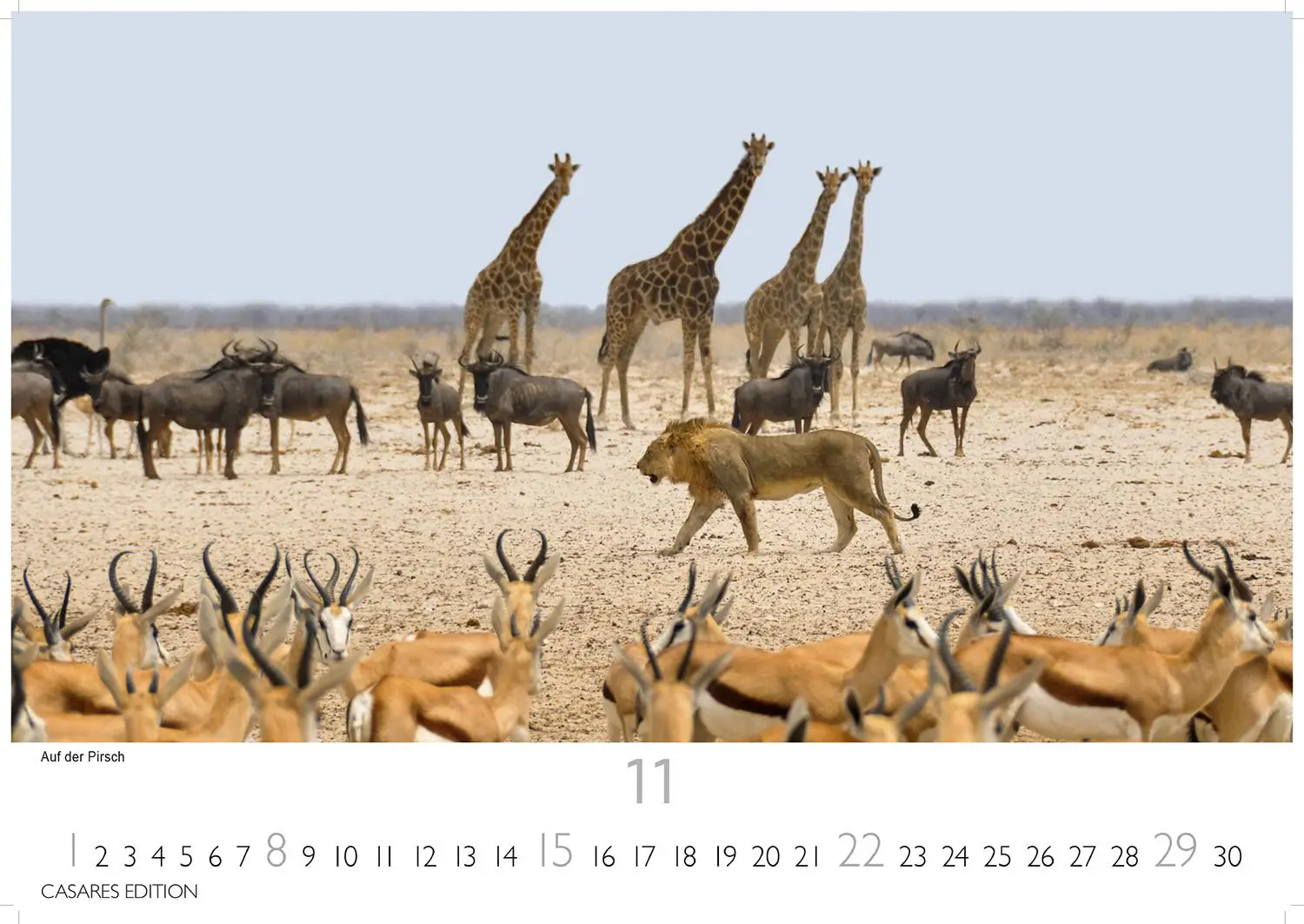 Bild: 9781835243855 | Namibia Kalender 2026 24x35 cm - Wandkalender mit atemberaubenden...