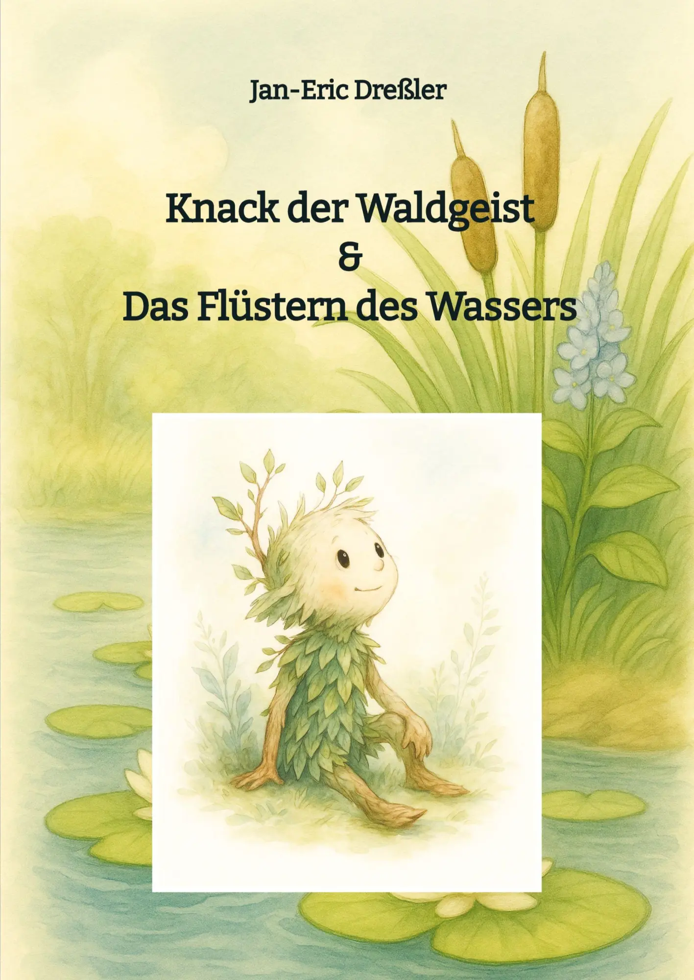 Cover: 9783384743855 | Knack der Waldgeist &amp; Das Flüstern des Wassers | Jan-Eric Dreßler