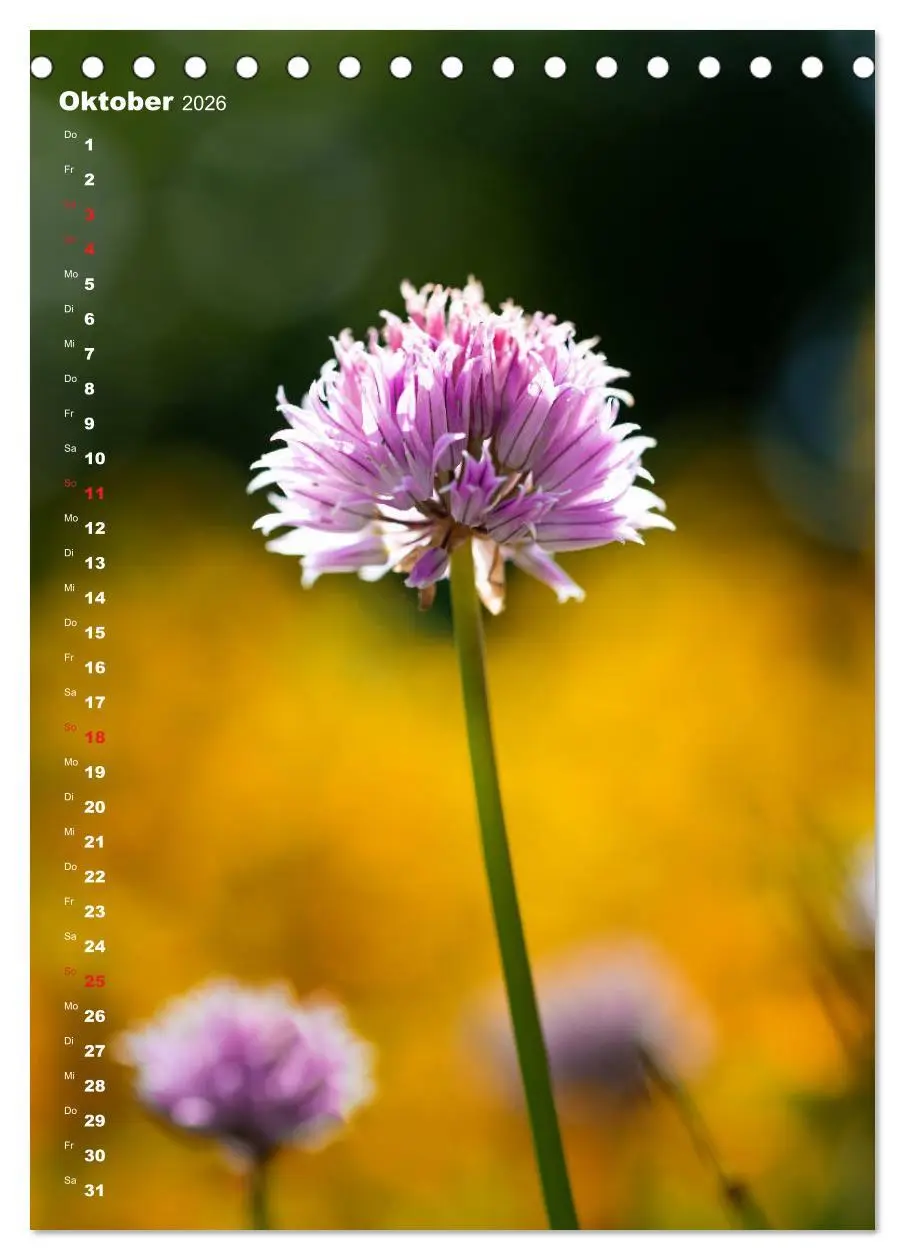 Bild: 9783516403855 | Colors of Nature (Tischkalender 2026 DIN A5 hoch), CALVENDO...