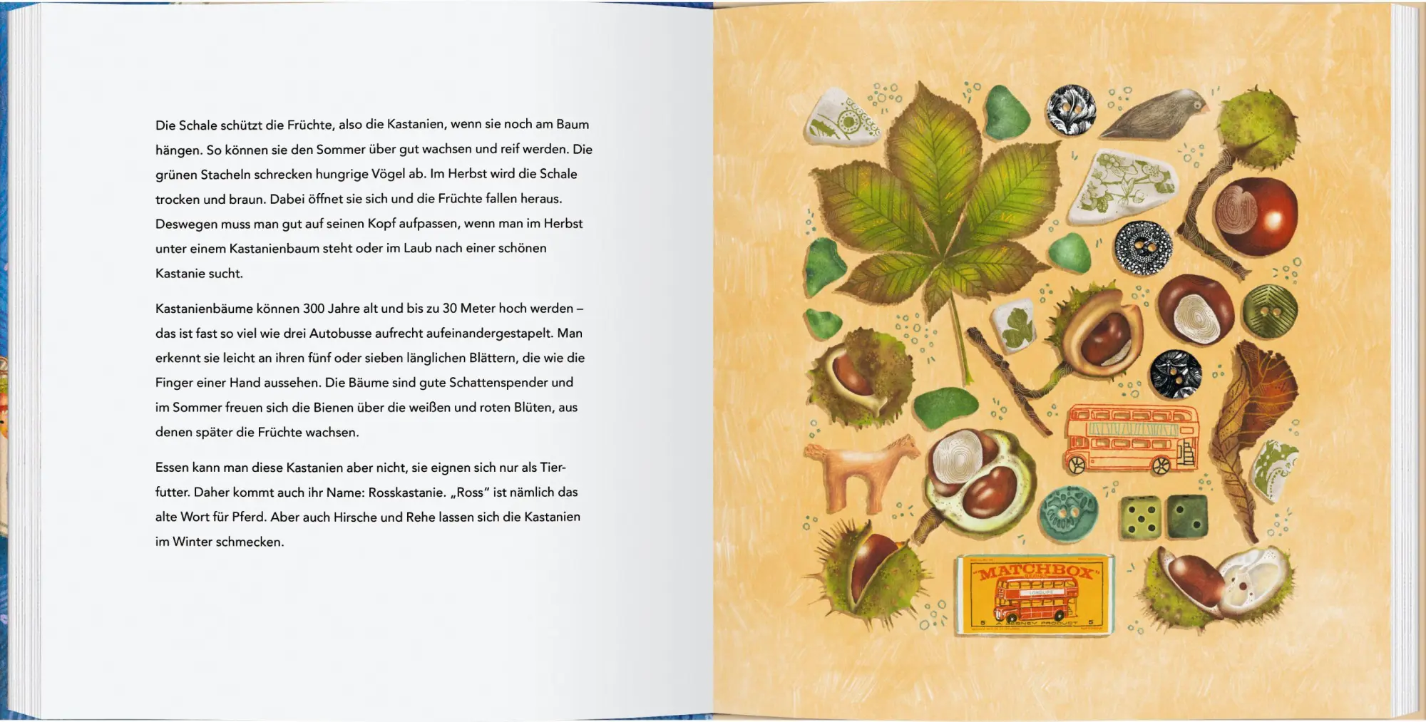 Bild: 9783836963855 | Meine Erinnerungskiste | Raffaela Schöbitz | Buch | 48 S. | Deutsch
