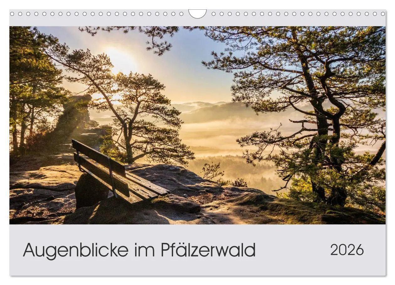 Cover: 9783457783955 | Augenblicke im Pfälzerwald (Wandkalender 2026 DIN A3 quer),...