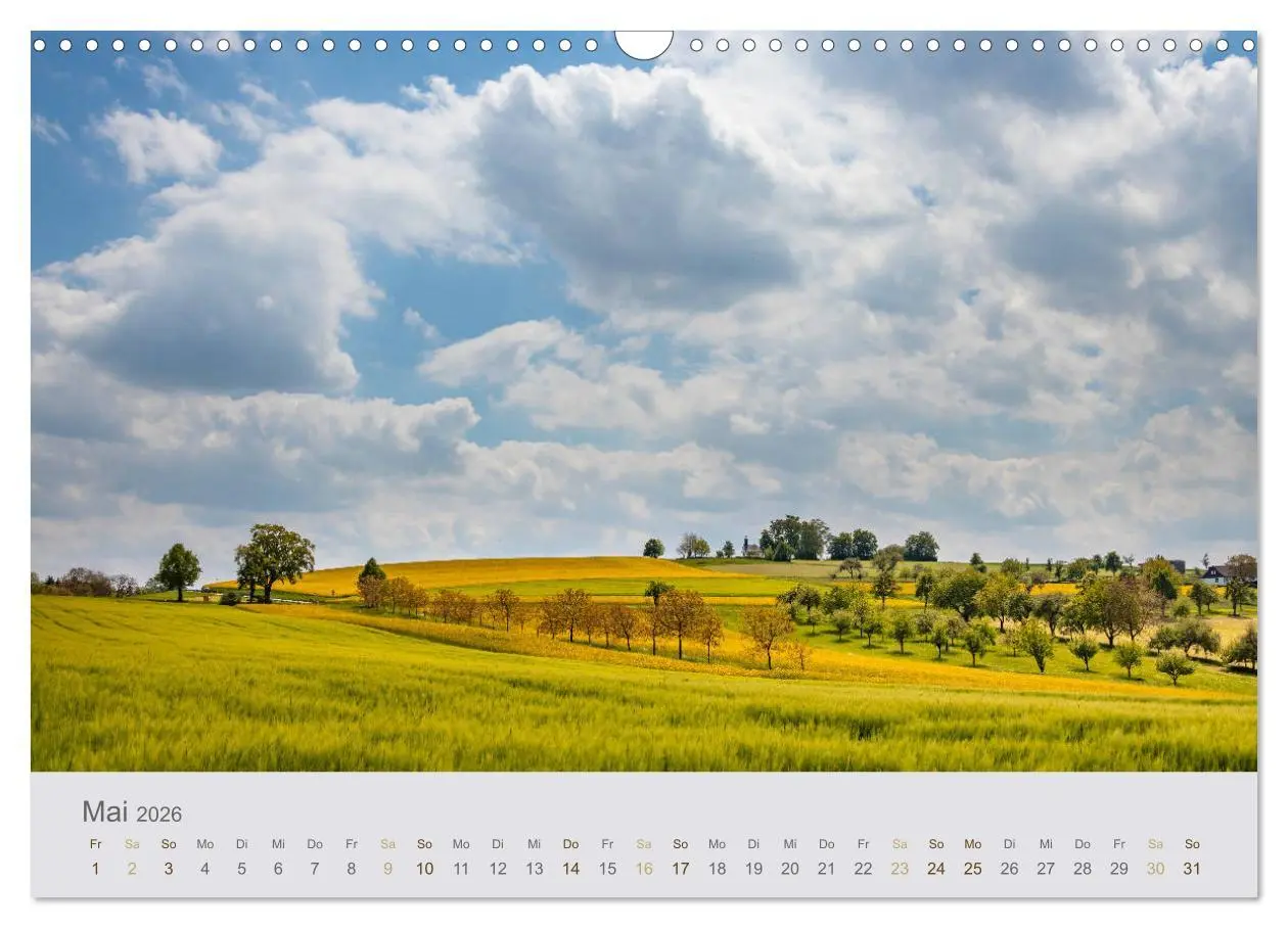 Bild: 9783457783955 | Augenblicke im Pfälzerwald (Wandkalender 2026 DIN A3 quer),...