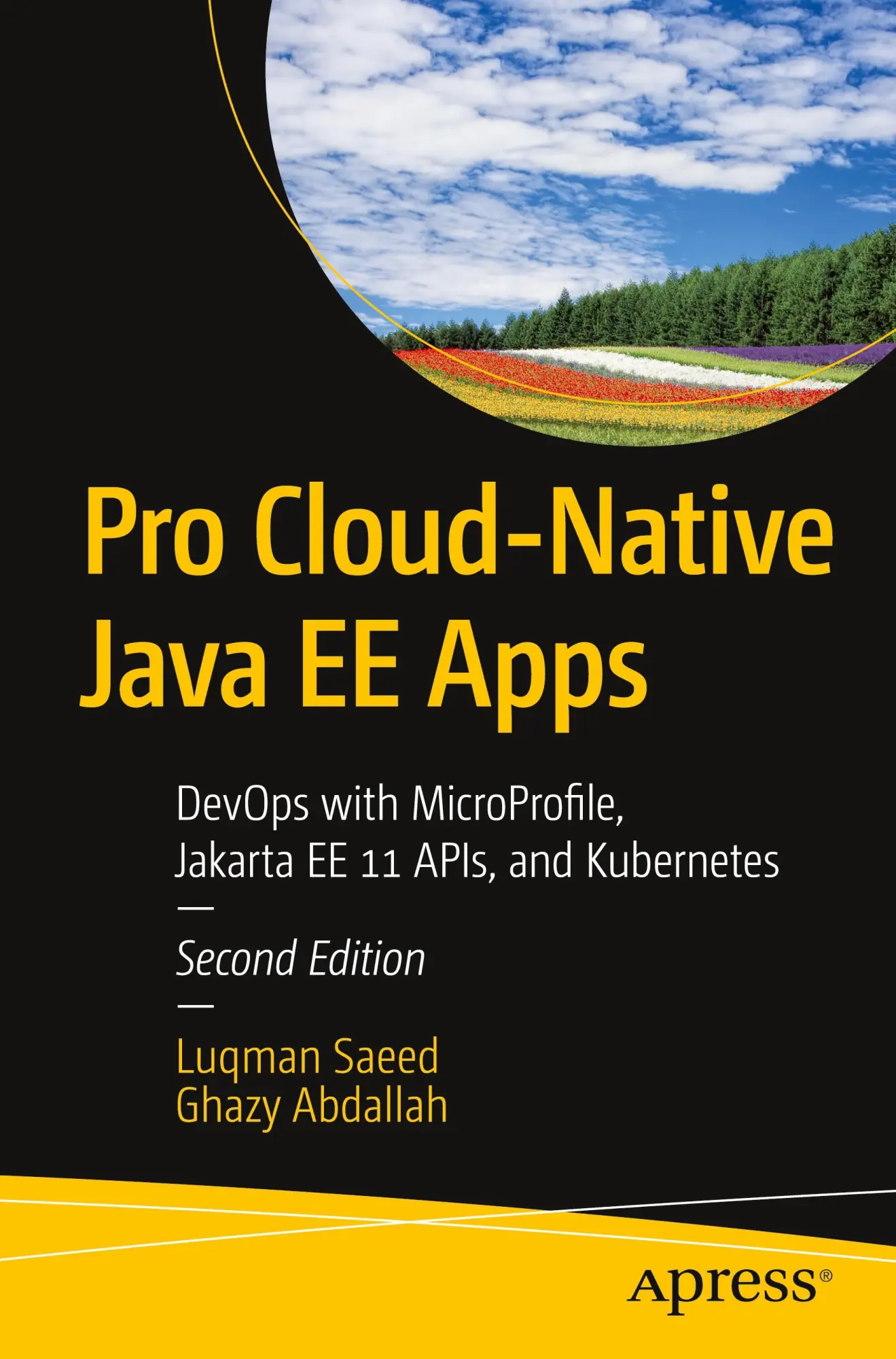 Cover: 9798868813955 | Pro Cloud-Native Java EE Apps | Ghazy Abdallah (u. a.) | Taschenbuch