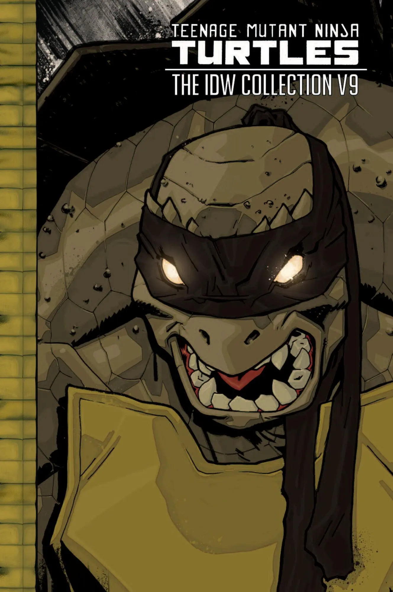 Cover: 9798887243955 | Teenage Mutant Ninja Turtles: The IDW Collection Volume 9 | Buch