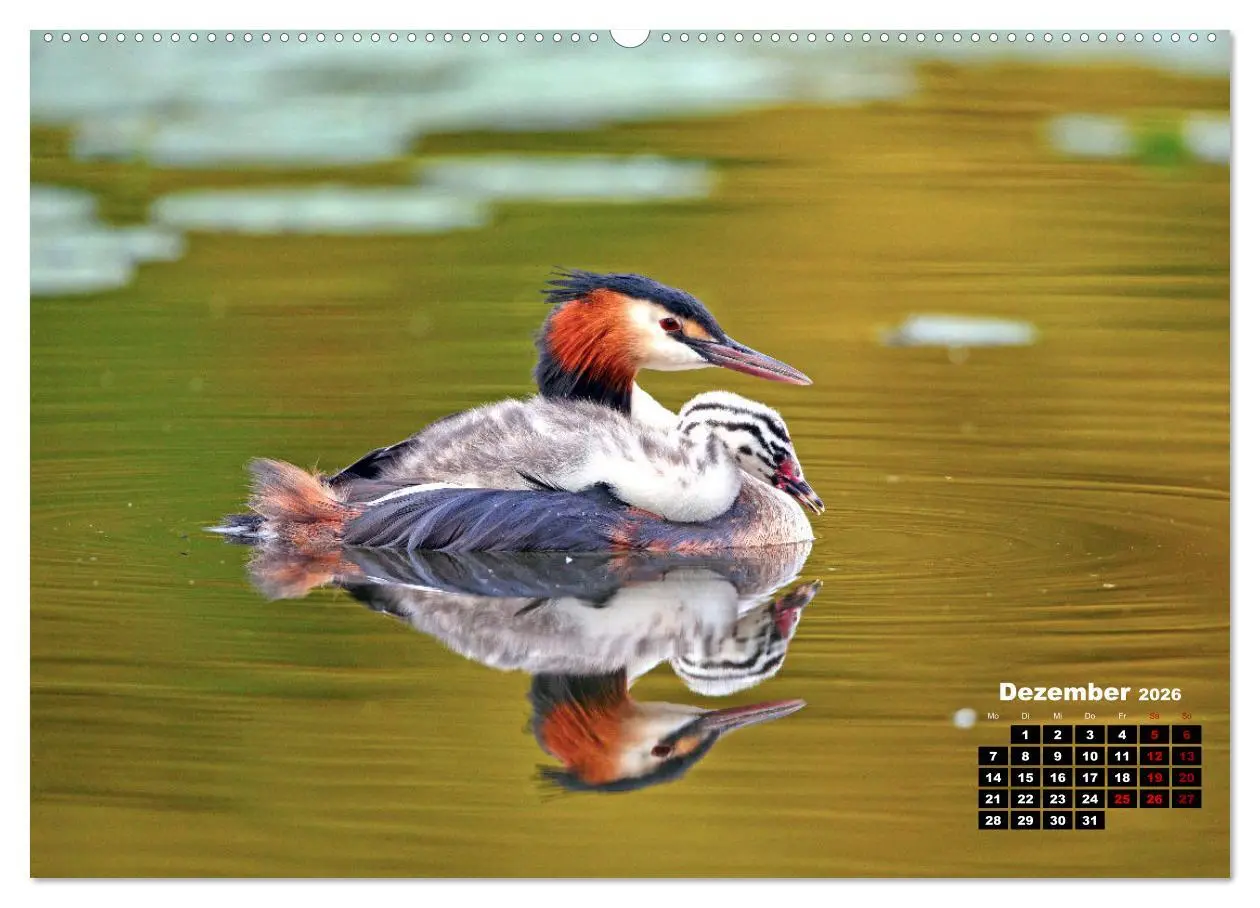 Bild: 9783457504055 | Wildes Bochum (hochwertiger Premium Wandkalender 2026 DIN A2 quer),...