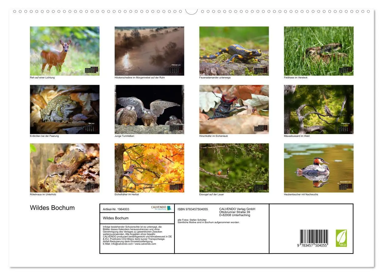 Bild: 9783457504055 | Wildes Bochum (hochwertiger Premium Wandkalender 2026 DIN A2 quer),...
