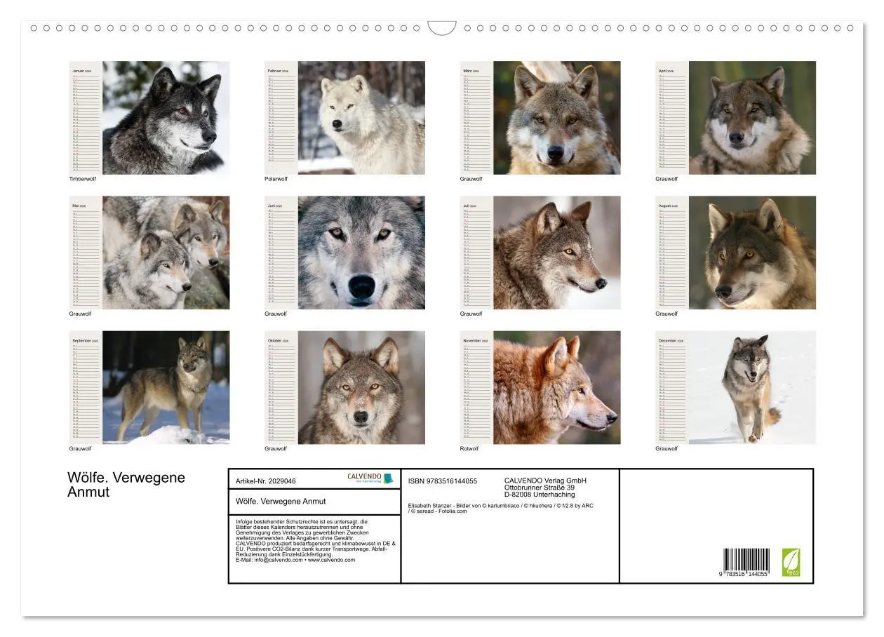 Bild: 9783516144055 | Wölfe. Verwegene Anmut (Wandkalender 2026 DIN A2 quer), CALVENDO...