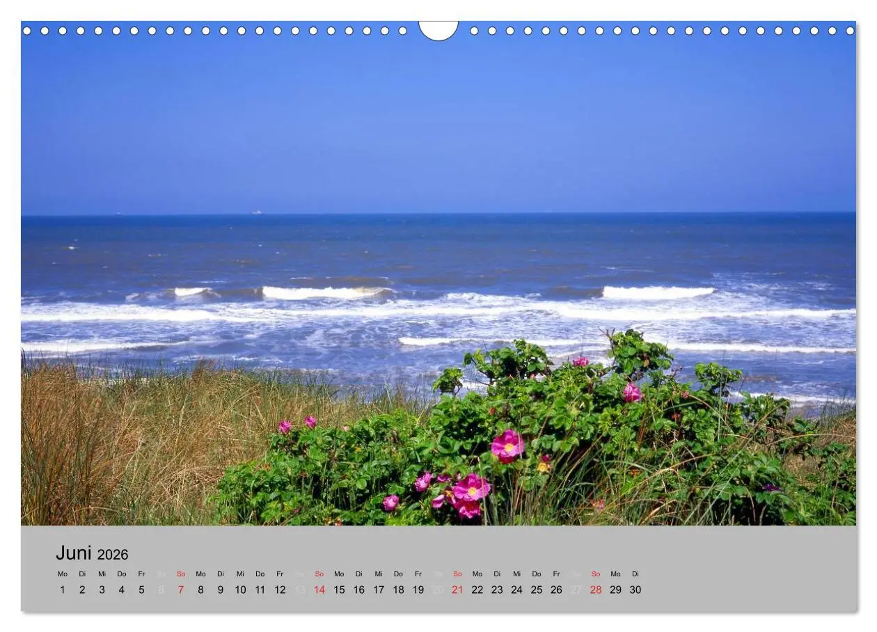Bild: 9783516214055 | Ostfriesland an der Nordseeküste (Wandkalender 2026 DIN A3 quer),...