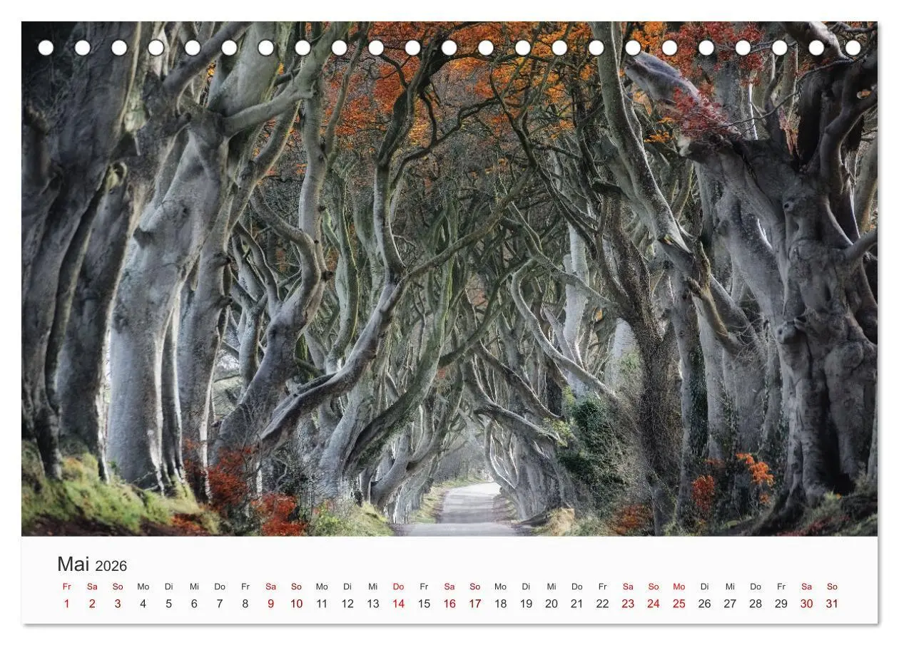 Bild: 9783457804155 | Naturschauspiel Irland (Tischkalender 2026 DIN A5 quer), CALVENDO...