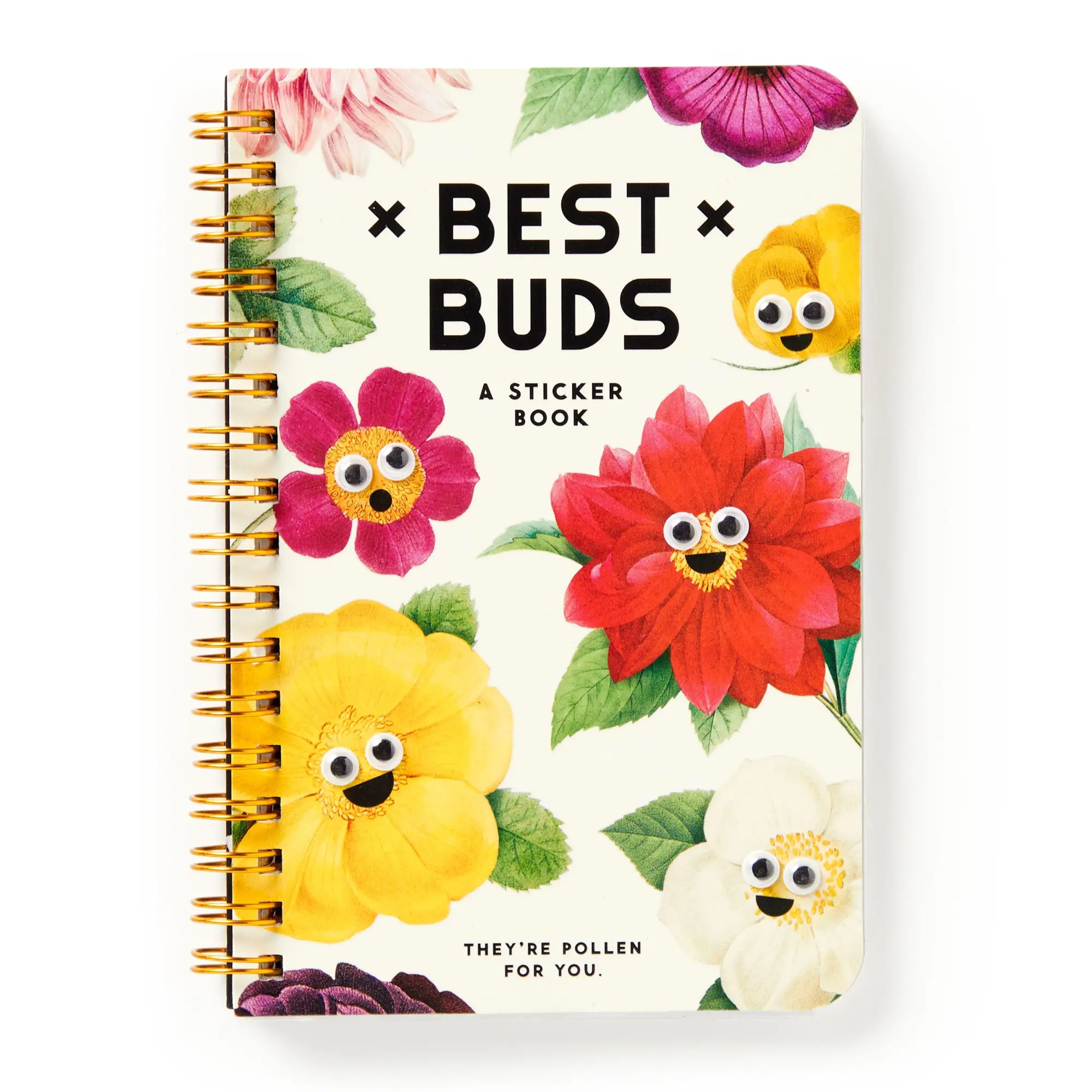 Cover: 9780735384255 | Best Buds Googly Sticker Book | Brass Monkey | Taschenbuch | 20 S.