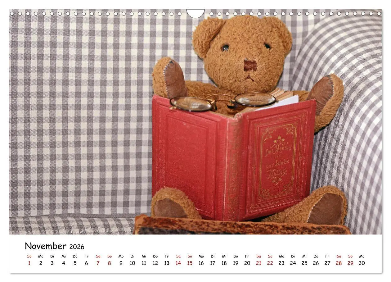 Bild: 9783457584255 | Allerliebste Teddybären (Wandkalender 2026 DIN A3 quer), CALVENDO...