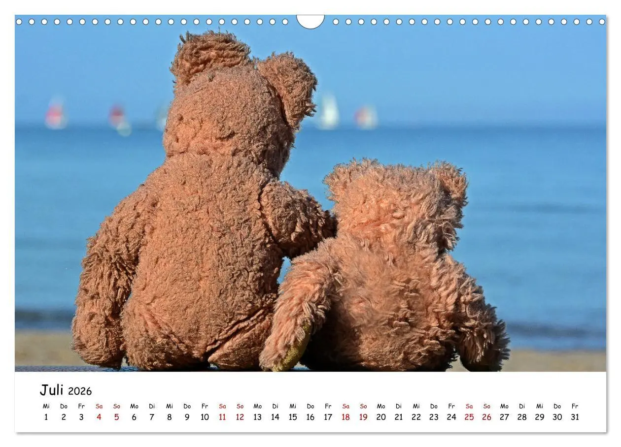 Bild: 9783457584255 | Allerliebste Teddybären (Wandkalender 2026 DIN A3 quer), CALVENDO...