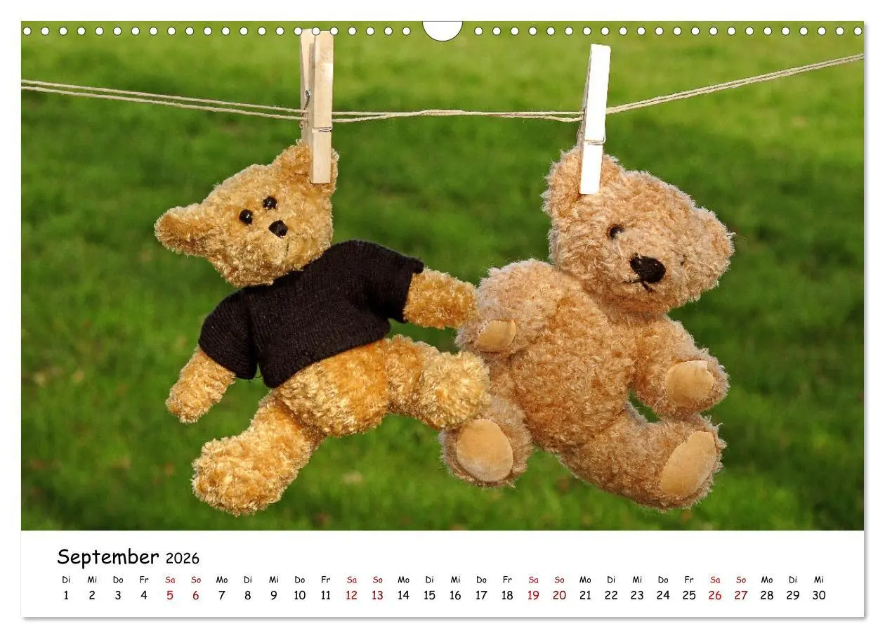 Bild: 9783457584255 | Allerliebste Teddybären (Wandkalender 2026 DIN A3 quer), CALVENDO...