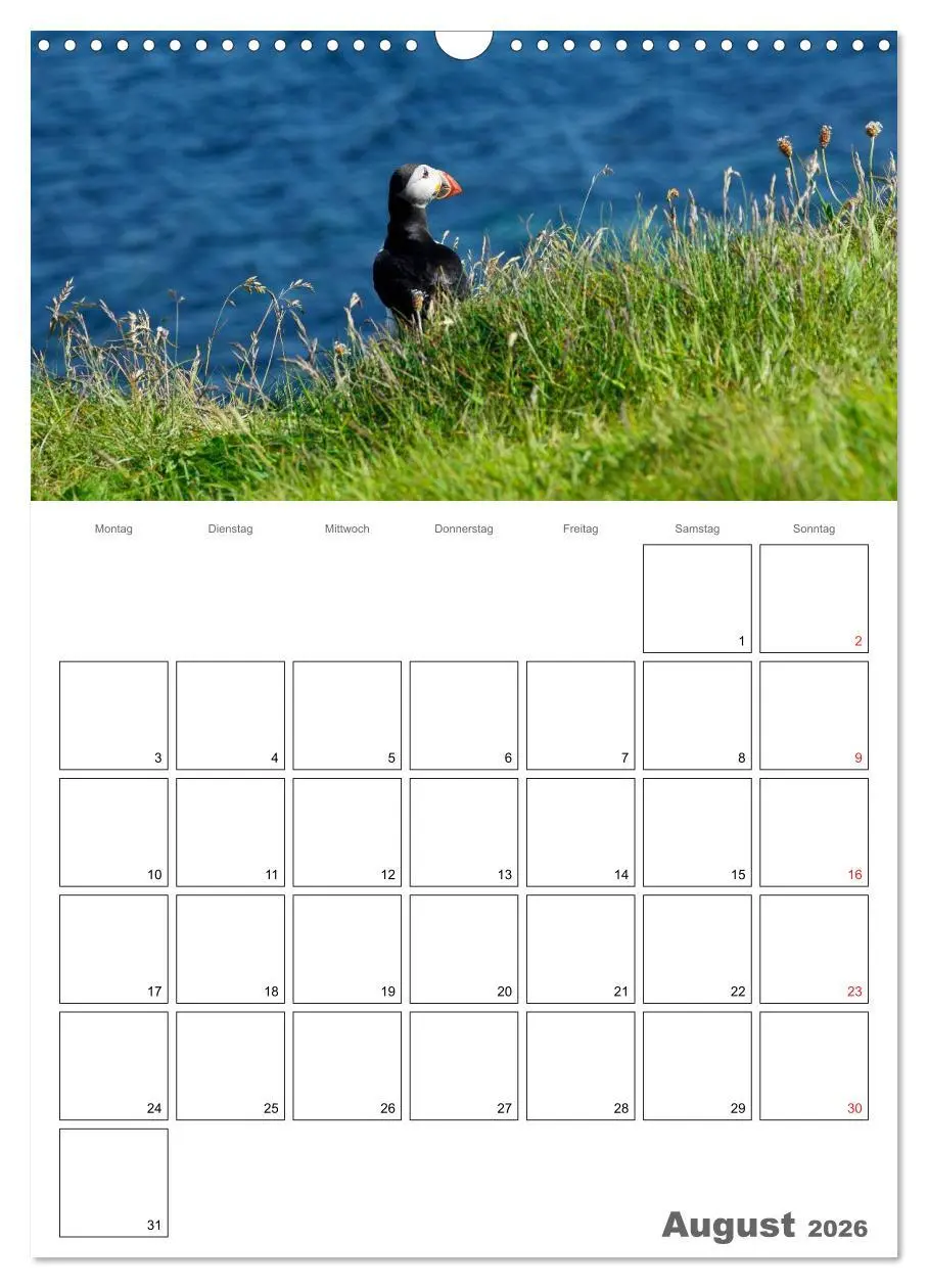 Bild: 9783516434255 | Schottland für Naturliebhaber (Wandkalender 2026 DIN A3 hoch),...