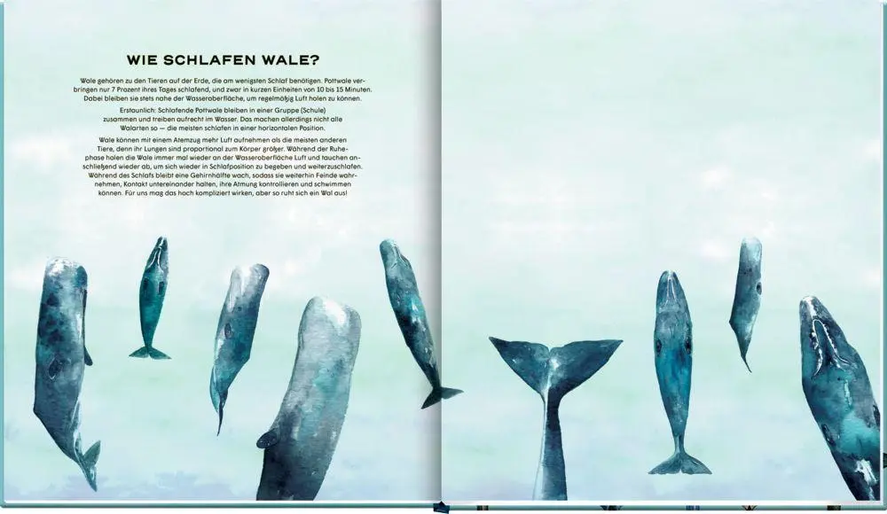 Bild: 9783649644255 | Die geheime Welt der Wale | Ein Sachbilderbuch | Rena Ortega | Buch
