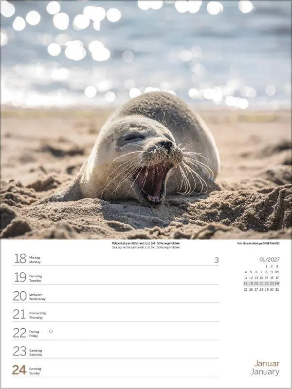 Bild: 9783819304255 | Nord- und Ostsee Wochenkalender 2027 | Korsch Verlag | Kalender | 2027