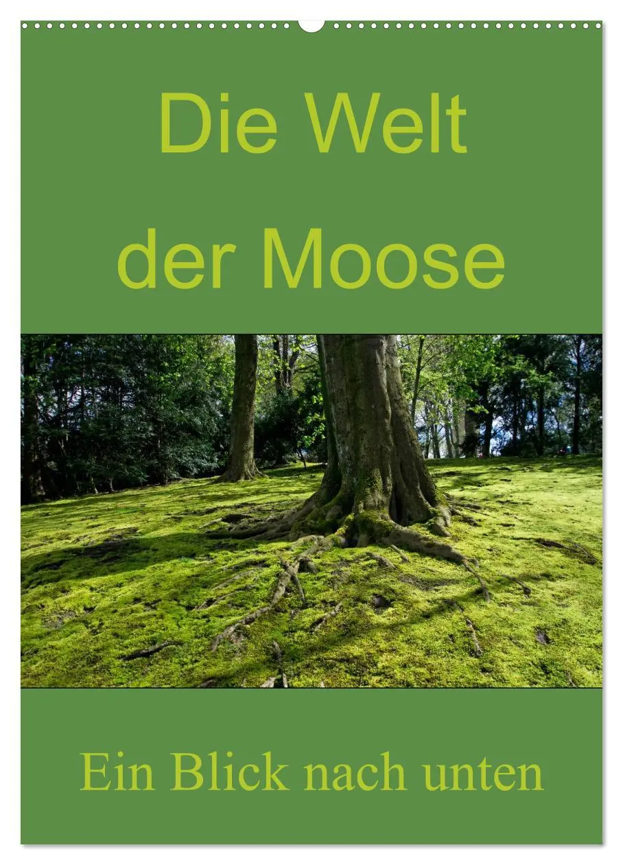 Cover: 9783516424355 | Die Welt der Moose. Ein Blick nach unten (Wandkalender 2026 DIN A2...